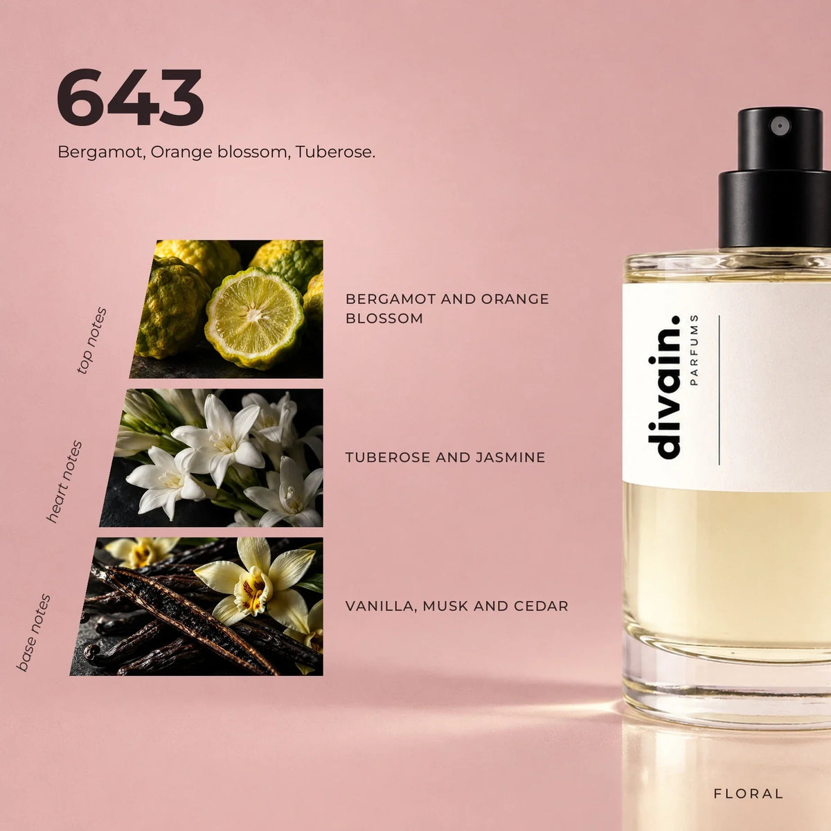divain.643 perfume olfactory notes