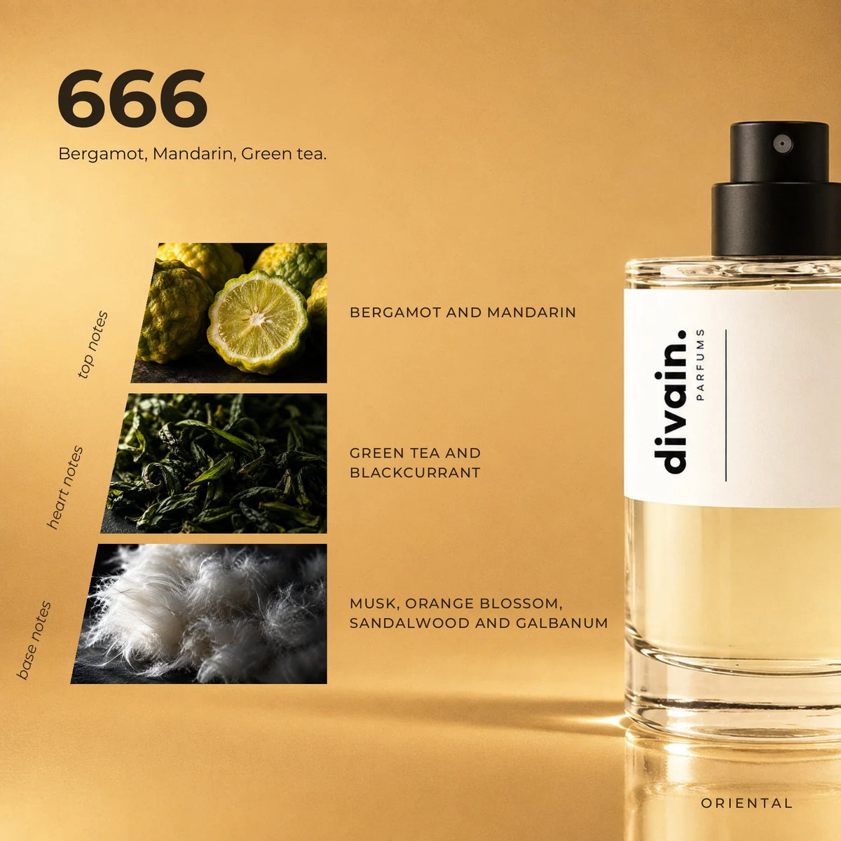 divain.666 perfume olfactory notes