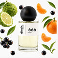 divain.666 perfume olfactory pyramid