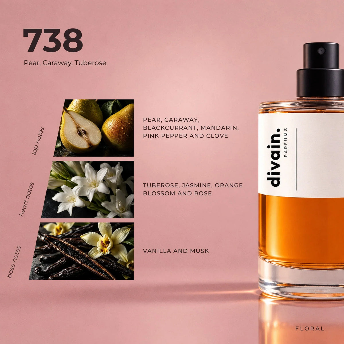 divain.738 perfume olfactory notes