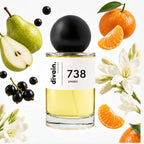 divain.738 perfume olfactory pyramid