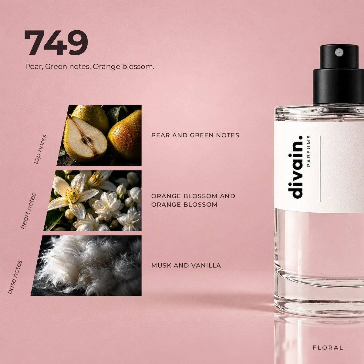 divain.749 fragrance pyramid