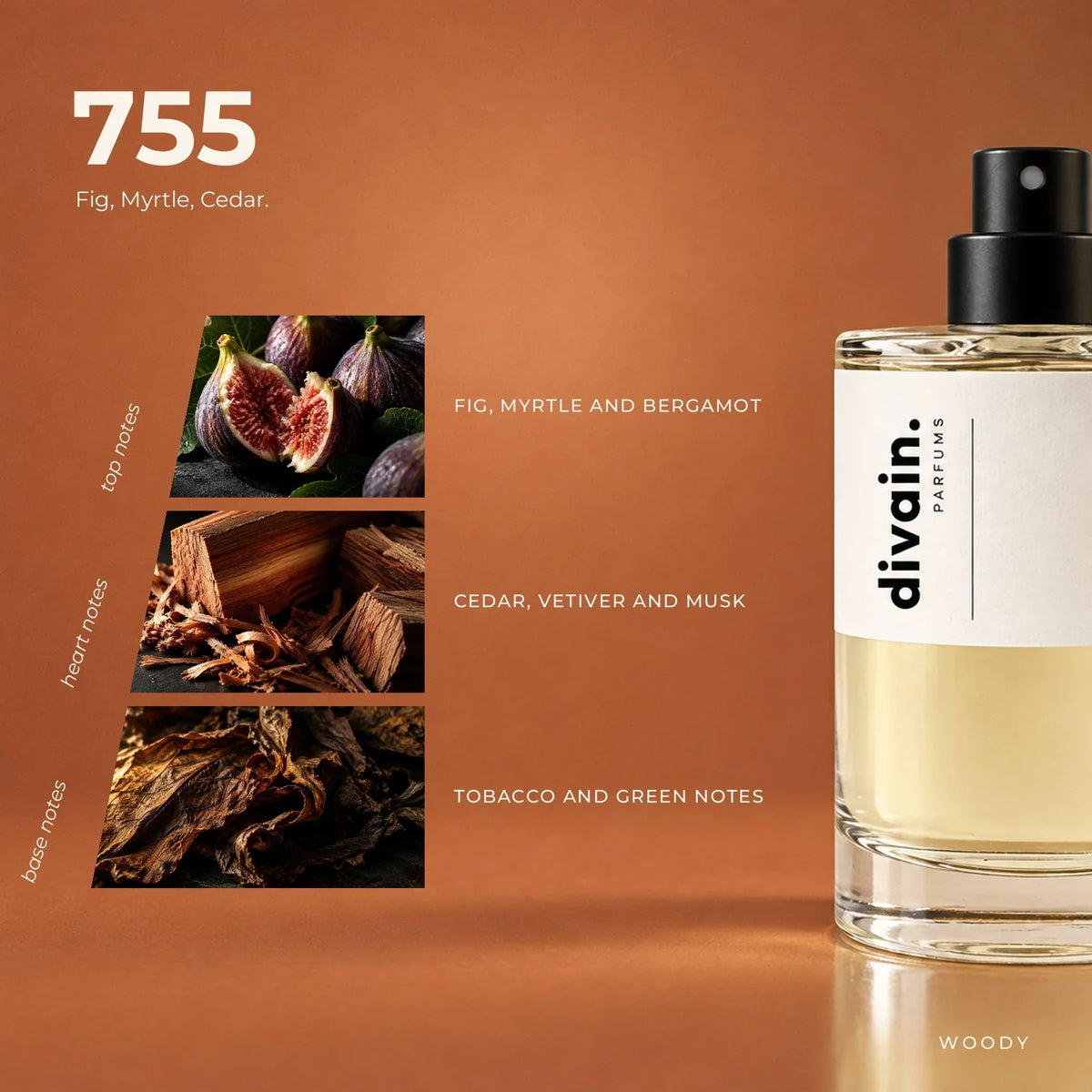 divain.755 perfume olfactory notes