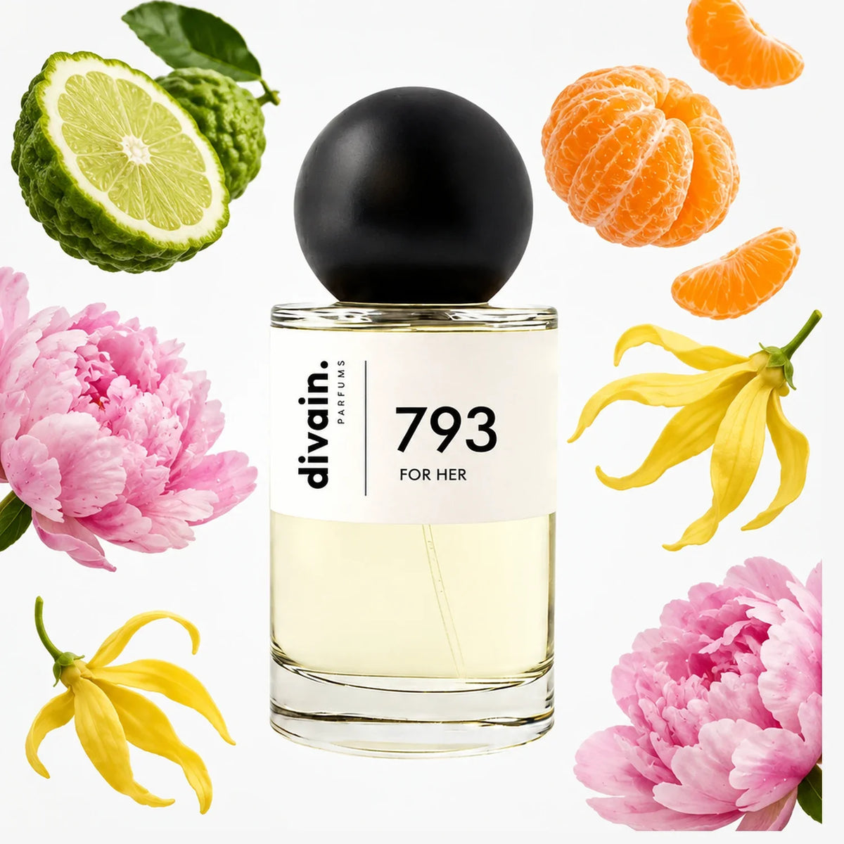 divain.793 perfume olfactory pyramid