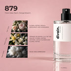 divain.879 perfume olfactory notes