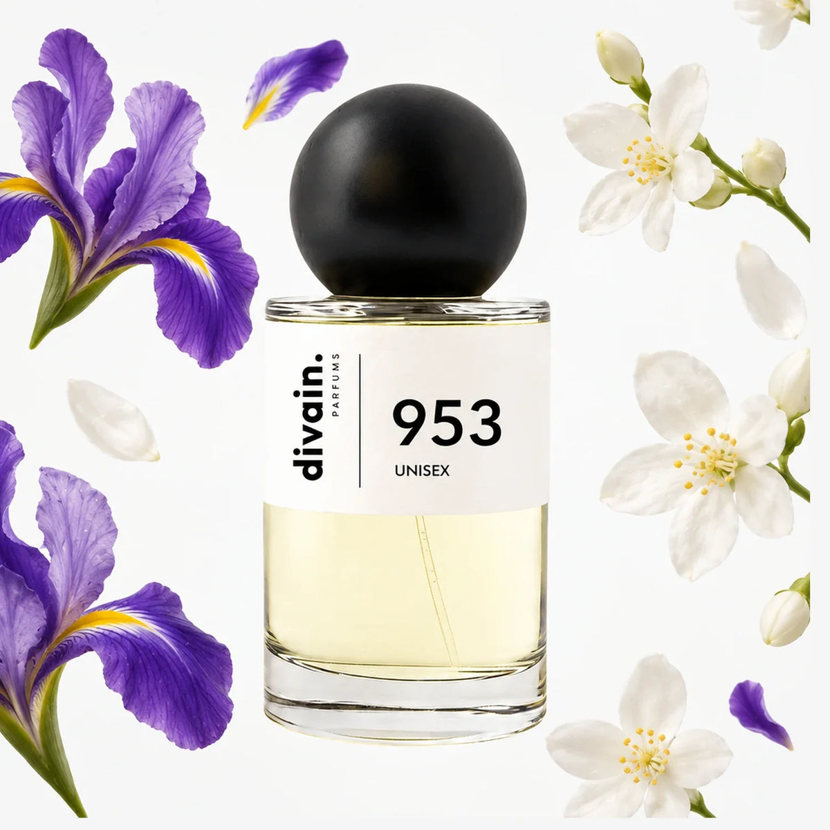 divain.953 perfume olfactory pyramid