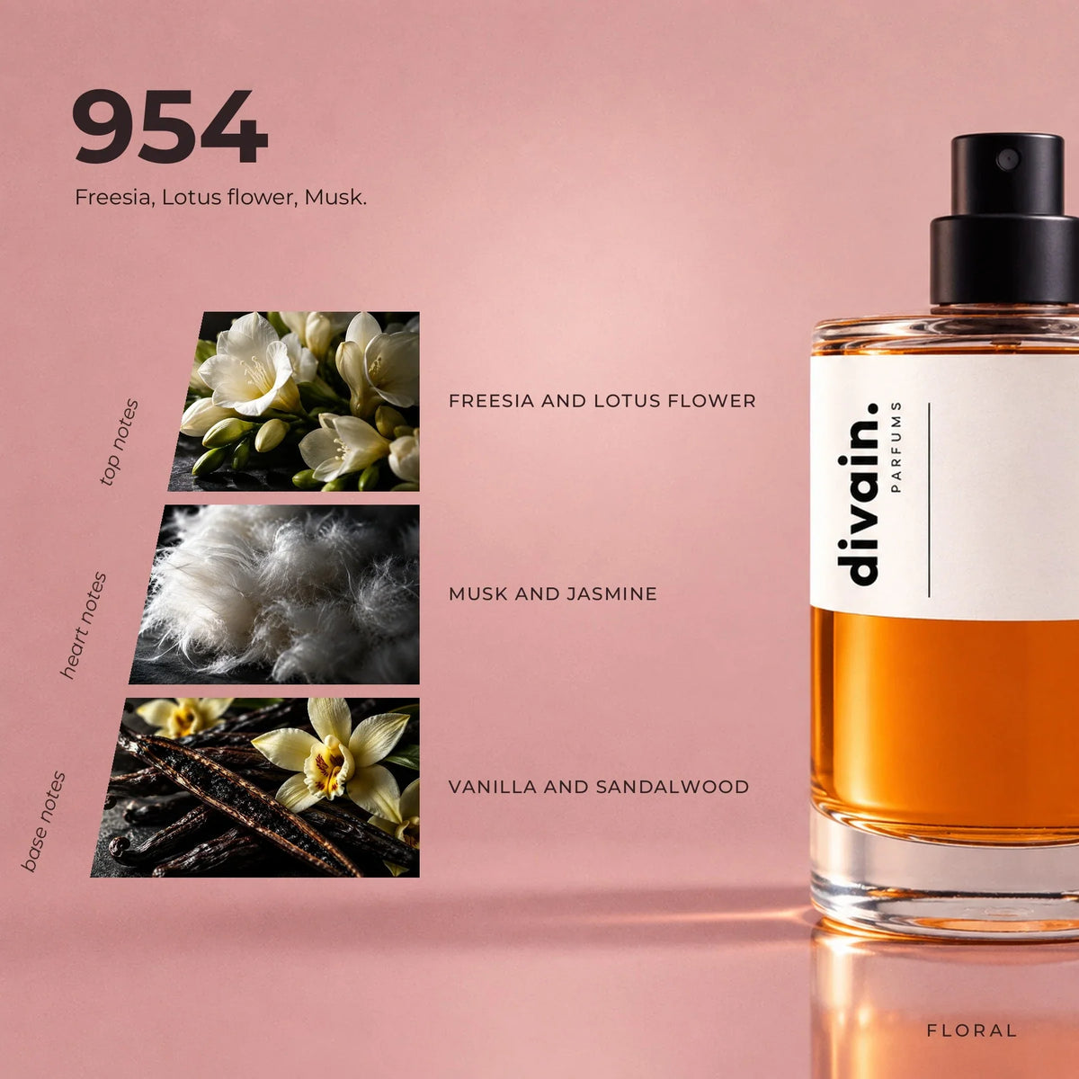 divain.954 perfume olfactory notes