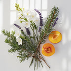 Peach, lavender and cedar representing the olfactory notes of the perfume.
