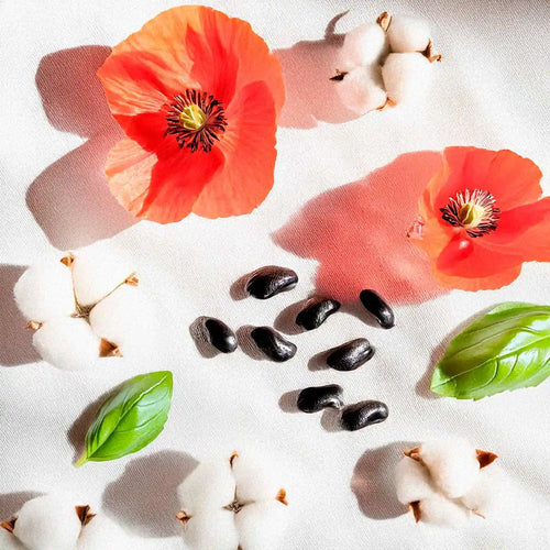 Floral and fresh olfactory notes with poppy, cotton, vanilla and green leaves