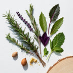 Mint, rosemary, bergamot and wood represent the olfactory notes of the perfume.