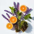 Mandarin, mint, lavender and moss represent the olfactory notes of the perfume.