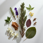 Cypress, violet and tobacco represent the olfactory notes of the perfume.
