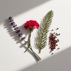 Lavender, pine and pepper represent the olfactory notes of the perfume.