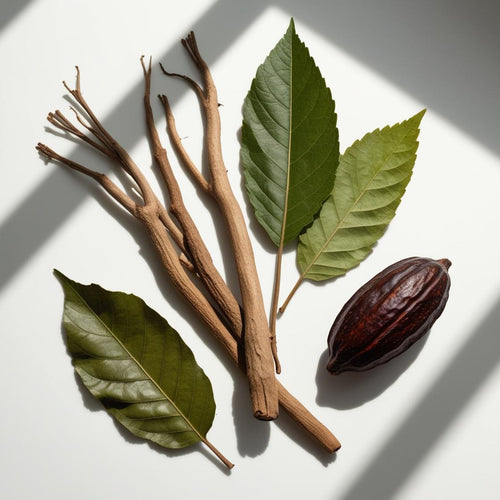 Vetiver, wood and cocoa representing the olfactory notes of the perfume.