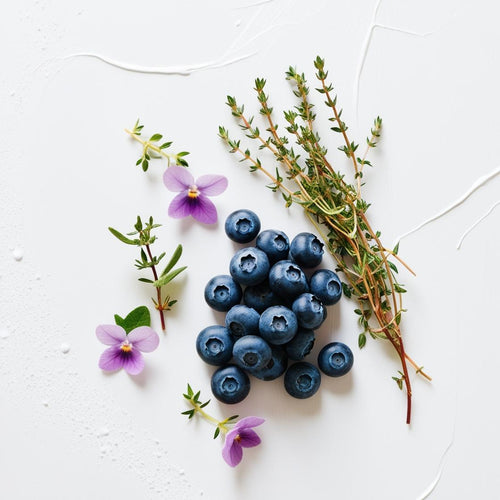 Violet, blueberries and thyme representing the olfactory notes of the perfume.