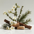 Jasmine, cedar and wood represent the olfactory notes of the perfume.