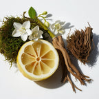 Lemon, moss and jasmine represent the olfactory notes of the perfume.